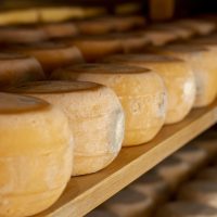 Cucina abruzzese: alla scoperta dei sapori autentici e delle specialità tipiche