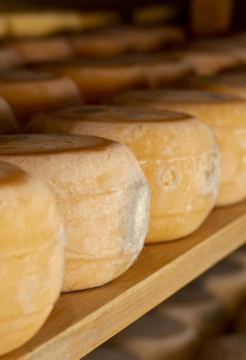 Formaggi erborinati italiani