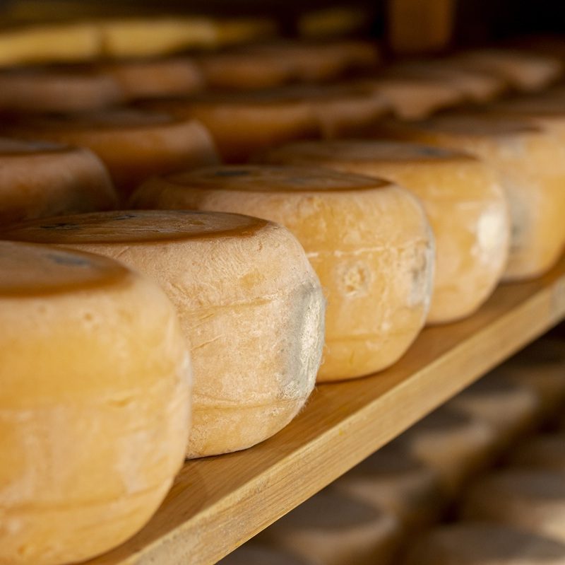 Formaggi erborinati italiani